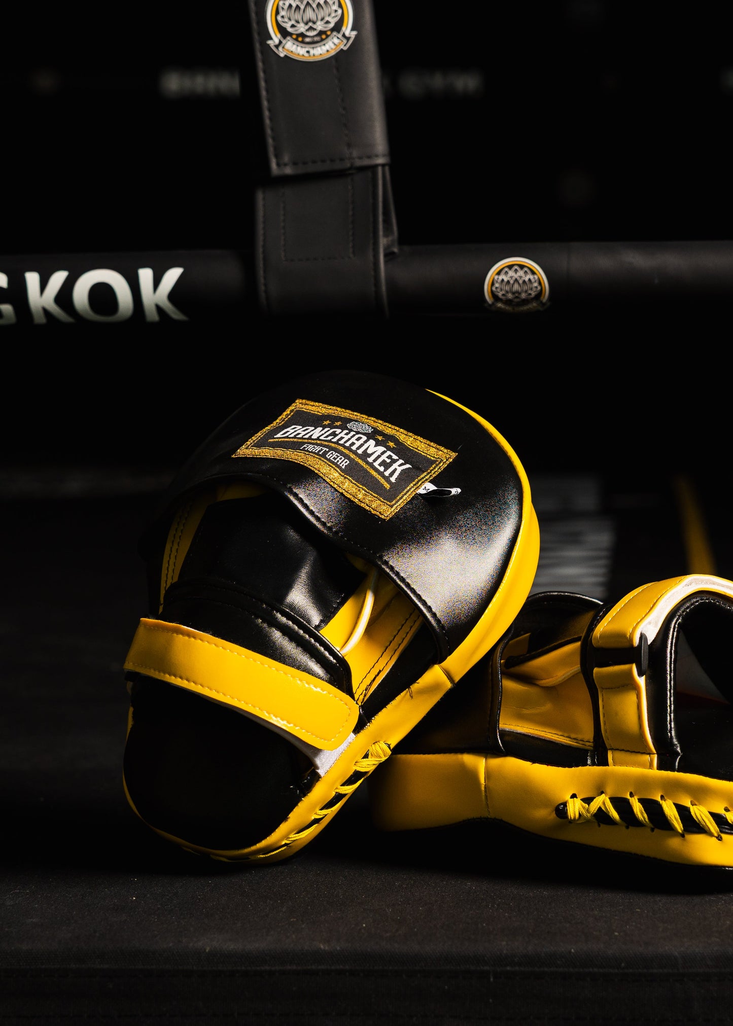 Banchamek Fight Gear Punching Mitt