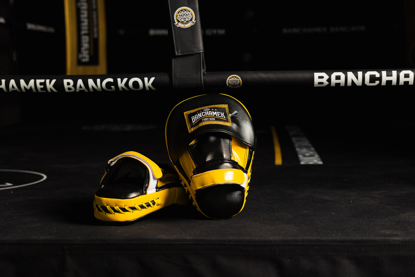 Banchamek Fight Gear Punching Mitt