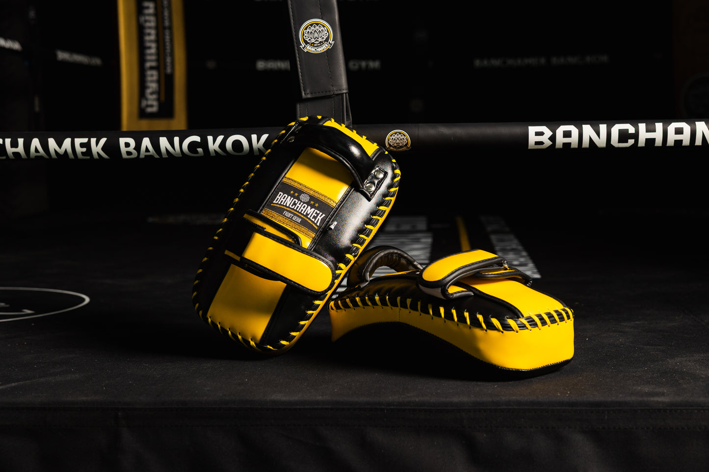 Banchamek Fight Gear Kick Pad Curved - Short