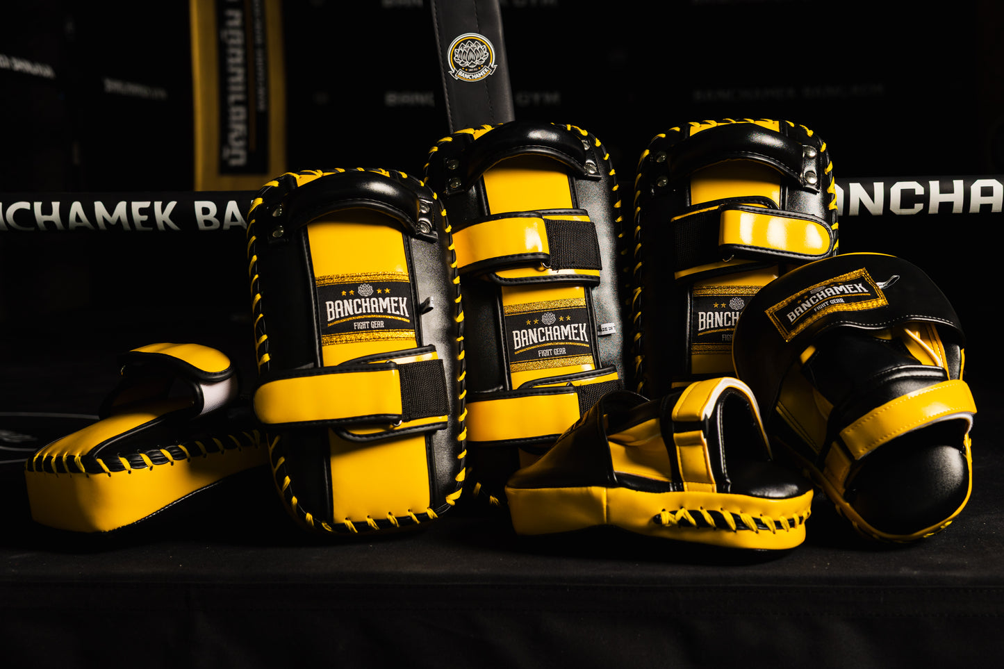 Banchamek Fight Gear Punching Mitt