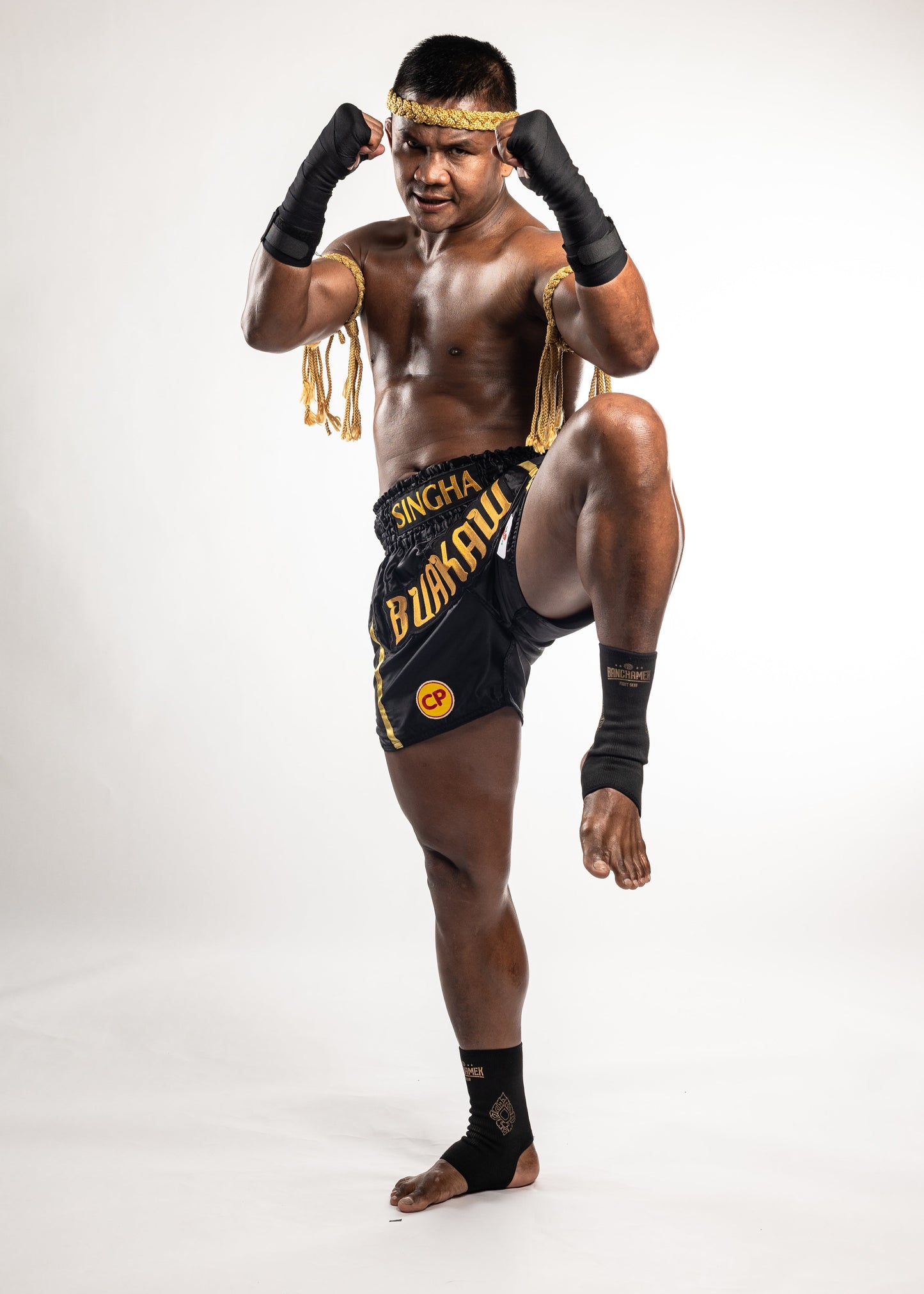 Banchamek Ankle Support
