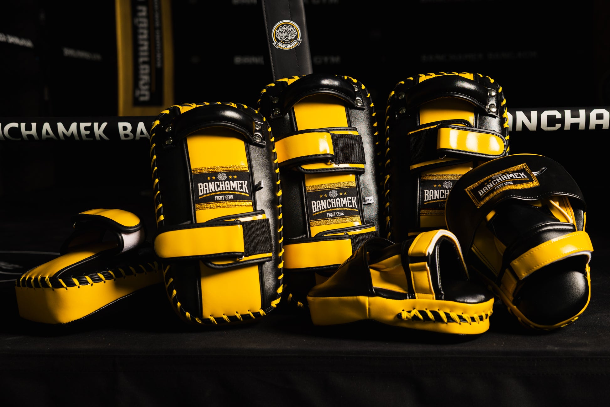 Banchamek Fight Gear Punching Mitt – Banchamek Shop